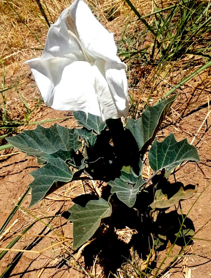 River Oak Mobile Home Park Osceola RV Park